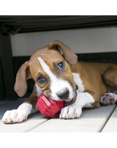 KONG Stuff-A-Ball L hryzátko na maškrty pre psa