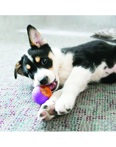 KONG Squeezz Action Ball Red 3 ks lopty pre psa M