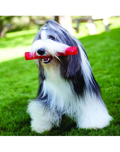 KONG Squeezz® Stick L