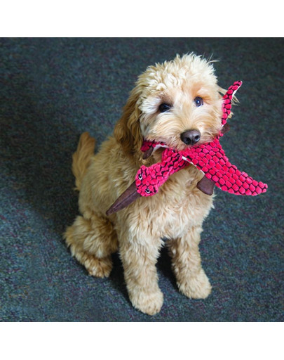 KONG Dynos Stegosaurus Green L plyšák pre psa dinosaurus