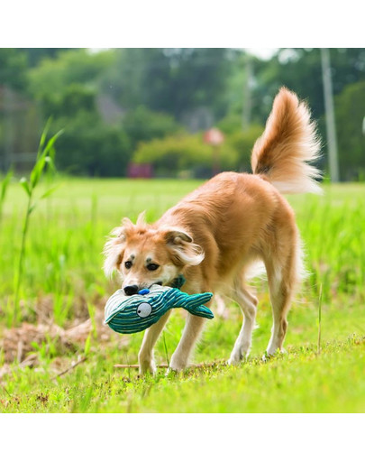 KONG Cuteseas Octopus hračka pre psa chobotnice L