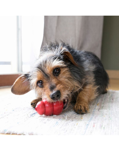 KONG Classic S 7,3 cm hryzátko na maškrty pre psa