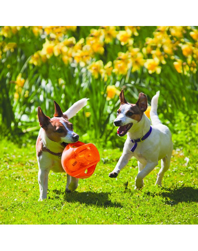 KONG Jumbler Ball L/M hračka na aportovanie pre psa