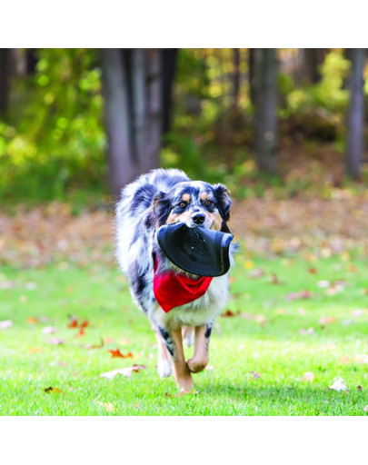 KONG Extreme Flayer odolné frisbee pre psa