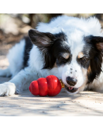 KONG Snacks Liver L sušienky pre psa s príchuťou pečene 312