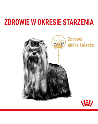 ROYAL CANIN Yorkshire Terrier Adult 8+ 3 kg granule pre staršieho jorkšírskeho teriéra