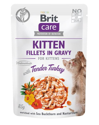 BRIT Care Filety z morčacieho mäsa v omáčke 24 x 85 g