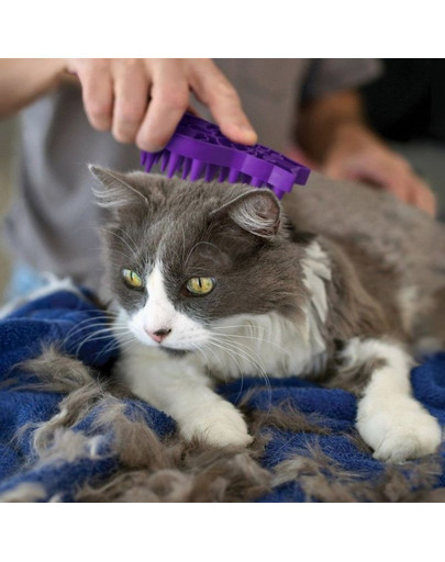 KONG Kefa Cat ZoomGroom na masáže aj česanie mačky
