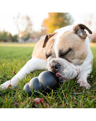 KONG Extreme M 8,5 cm odolné hryzátko na maškrty pre psa