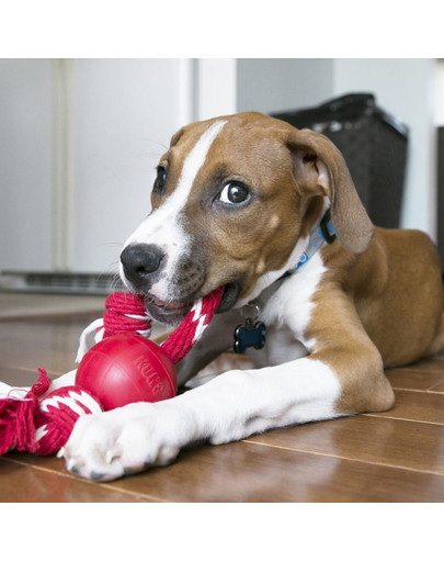 KONG Ball with Rope S lopta pre psa