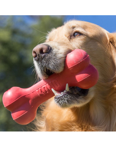 KONG Goodie Bone hračka pre psov gumová kosť S 13,5cm