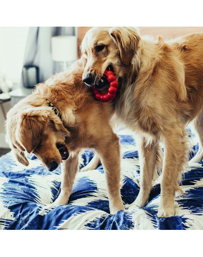 KONG Ring S/M hračka pre psa na ťahanie