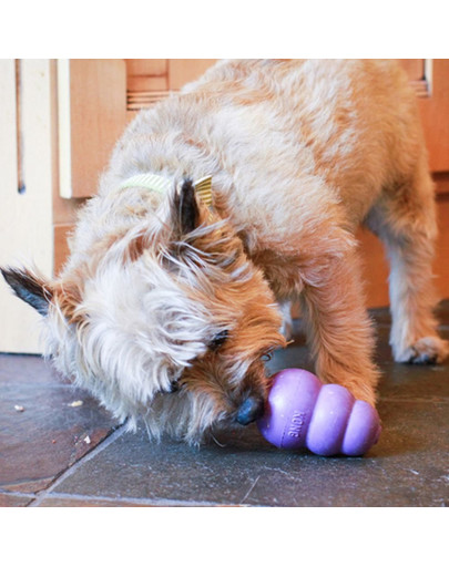 KONG Senior S hryzátko na maškrty pre staršie psy