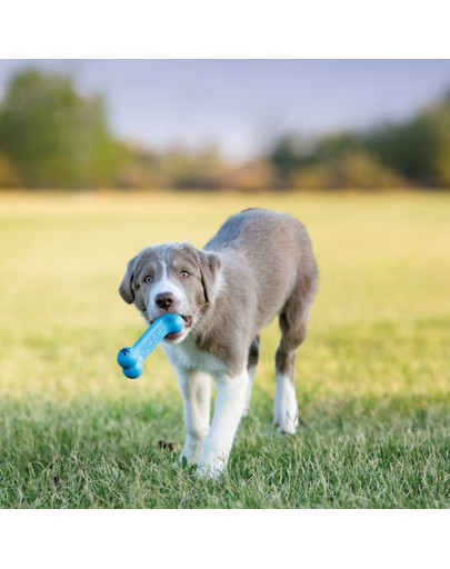 KONG Puppy Goodie Bone S hryzátko pre šteniatka na maškrty