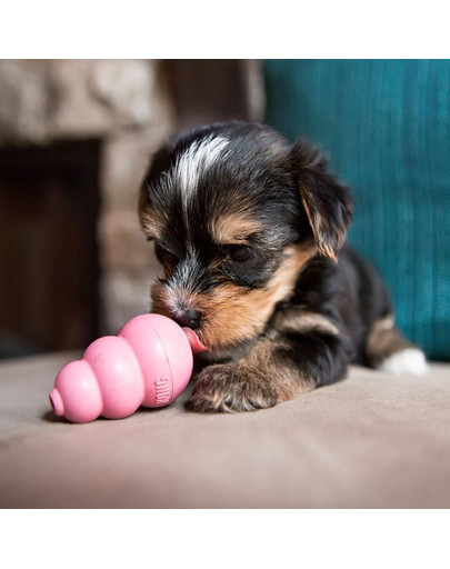 KONG Puppy XS hryzátko na maškrty pre šteniatka