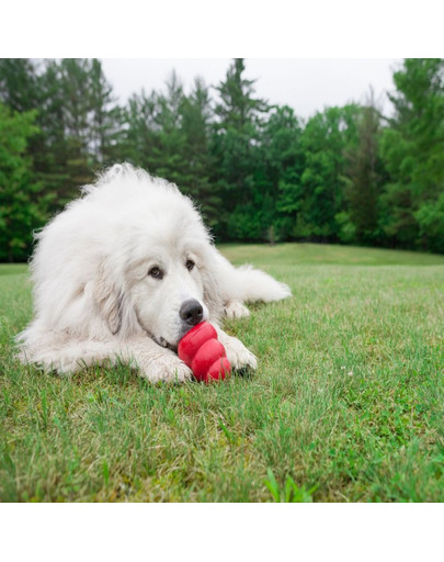 KONG Classic XL 12,5 cm hryzátko na maškrty pre psa