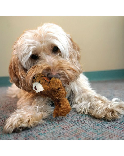 KONG Dr Noyz Bear M plyšák pre psa