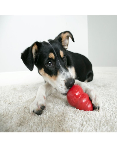 KONG Classic L 10,5 cm hryzátko na maškrty pre psa