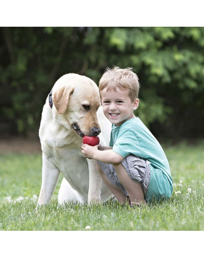 KONG Classic L 10,5 cm hryzátko na maškrty pre psa