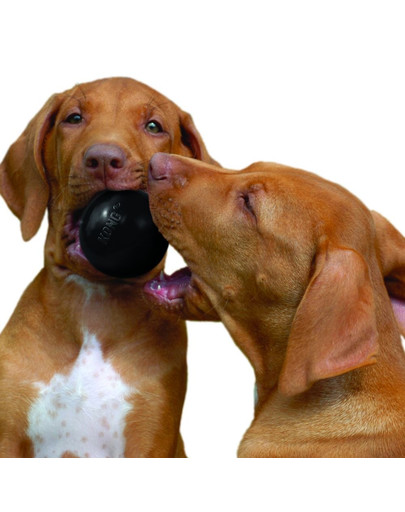 KONG Extreme Ball S odolná lopta pre psa