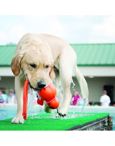 KONG Wubba Wet L hračka pre psa plávajúca