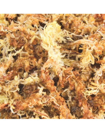 TRIXIE Podstielka rašeliníkový mach (sphagnum) 100 g