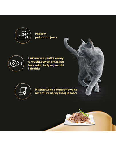 SHEBA Delicacy in Jelly Hydinové príchute 4x85g 3+1 ZADARMO