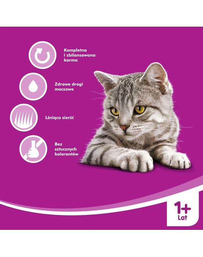 WHISKAS Krémová polievka s kuracím mäsom 85g x28