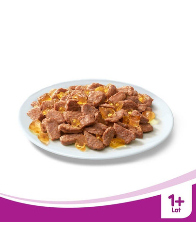 WHISKAS Sada kapsičiek kurací pokrm v aspiku 12 x 0.01 kg x4