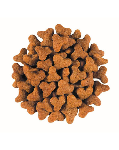 ROYAL CANIN Veterinary Diet Cat Fibre Response 2 kg