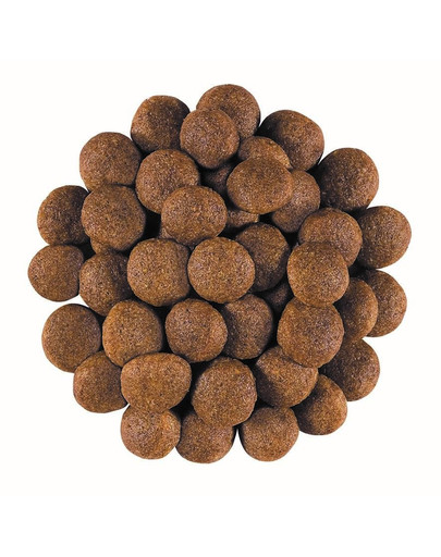 ROYAL CANIN Veterinary Diet Dog Gastrointestinal 7.5 kg