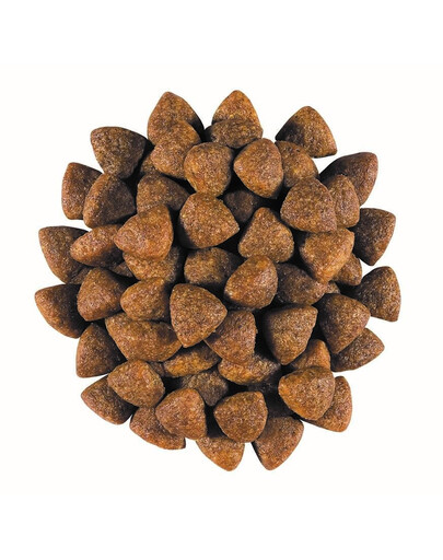 ROYAL CANIN Veterinary Diet Dog Gastrointestinal Puppy 2.5 kg