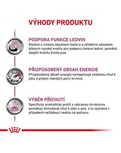 ROYAL CANIN Veterinary Diet Dog Renal Can 410g