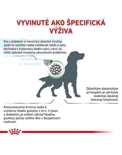 ROYAL CANIN Veterinary Health Nutrition Dog Diabetic 1.5 kg