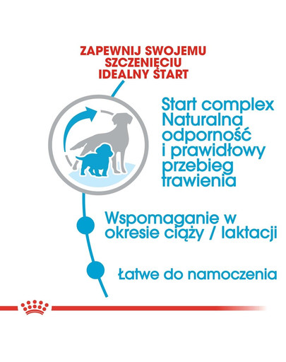 ROYAL CANIN Medium Starter Mother&Babydog 15 kg granule pre brezivé alebo dojčiace suky a šteniatka