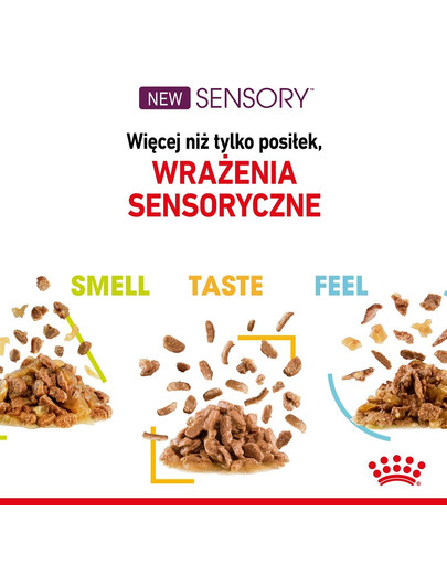 ROYAL CANIN Sensory Feel Gravy 12x85 g