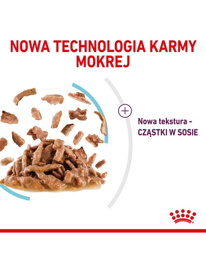 ROYAL CANIN Sensory Feel Gravy 12x85 g