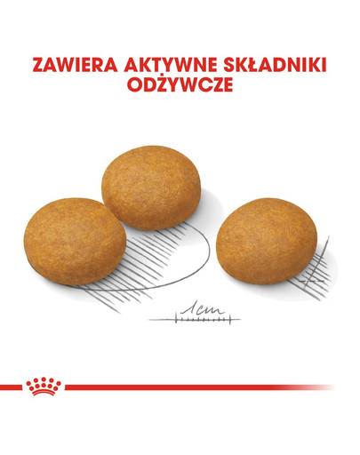 ROYAL CANIN Maxi Dermacomfort 12 kg