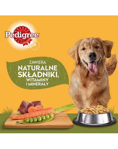 PEDIGREE Adult Kapsička -mix príchutí 40 x 100 g