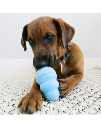 KONG Snacks Puppy sušienky o príchuťou kura s ryžou pre šteniatka g