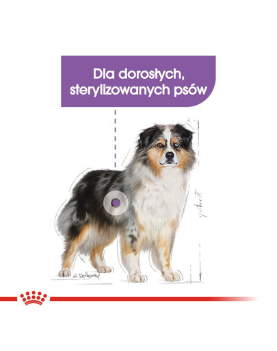 ROYAL CANIN Maxi Digestive Care 12 kg granule pre veľké psy s citlivým trávením