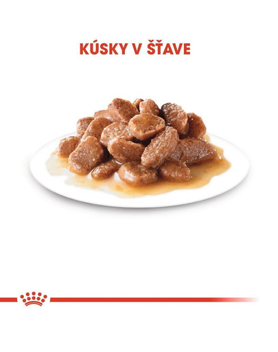 ROYAL CANIN Instinctive Gravy 12 x 85g