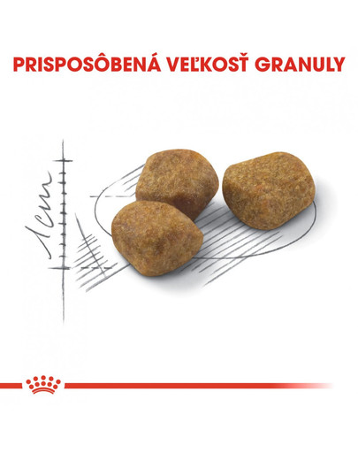 ROYAL CANIN Indoor 7+ 1,5kg granule pre starnúce mačky žijúce vo vnútri