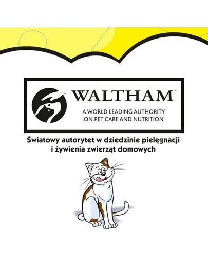 Dreamies Dreamies so syrom 0.06 kg