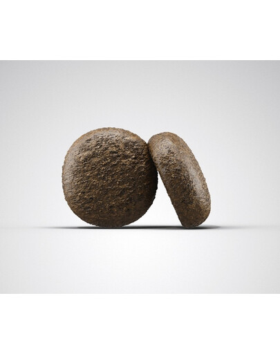 Josera Dog Festival 15kg