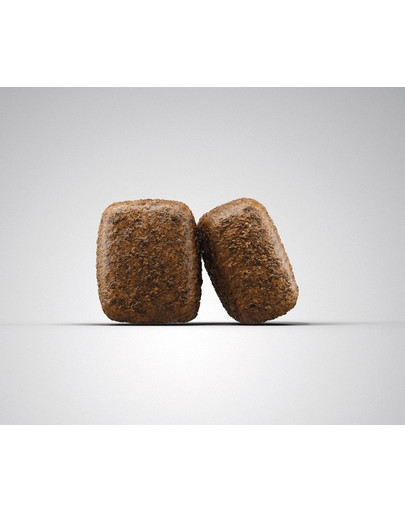 JOSERA Nature Energetic 5 x 900 g