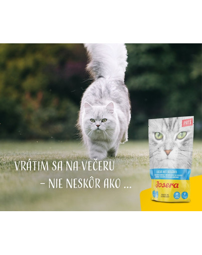 JOSERA Paté Losos s morskou trávou 16 x 80 g