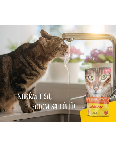 JOSERA Kuracia polievka s mrkvou a špenátom 16 x 70 g