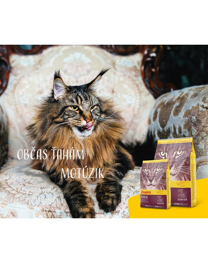 JOSERA Senior 400 g granule pre staršie mačky