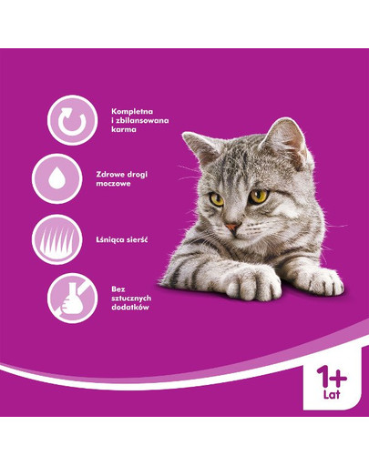 WHISKAS Hovädzie v omáčke 100 gx 18 + 6 ZADARMO